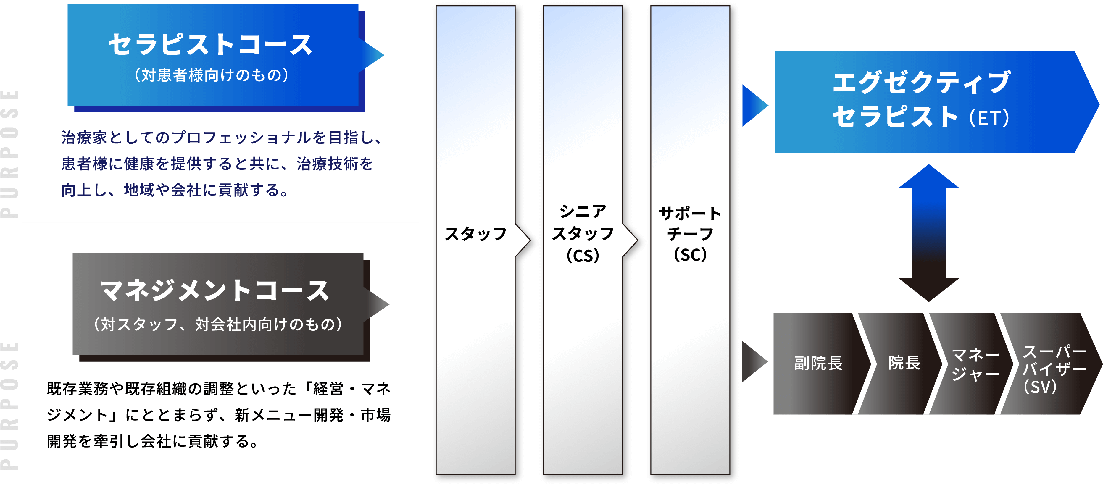 教育研修制度イメージ